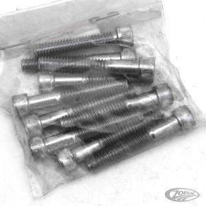 10pck allen bolt 1/4-20x1-5/8" UNC zinc (DE)