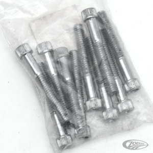 10pck allen bolt 1/4-20x1-7/8" UNC zinc (DE)