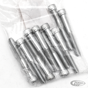 10pck allen bolt 1/4-20x2" UNC zinc