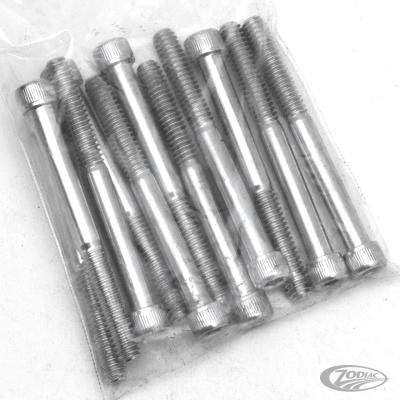 10pck allen bolt 1/4-20x2-1/2" UNC zinc (DE)