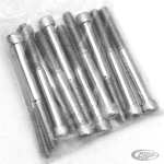10pck allen bolt 1/4-20x2-1/2" UNC zinc