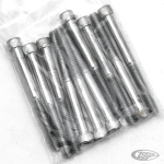 10pck allen bolt 1/4-20x2-3/4" UNC zinc