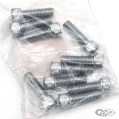 10pck allen bolt 1/4-28x7/8" UNF zinc (DE)