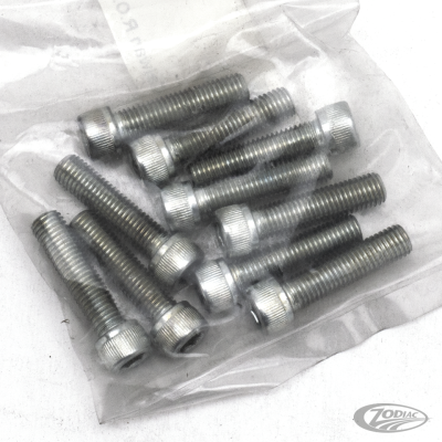 GZP 10pck allen bolt 1/4-28x1" zinc