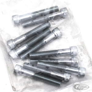 GZP 10pck allen bolt 1/4-28x1-1/2" zinc (DE)
