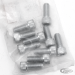10pck allen bolt 5/16-18x3/4" UNC zinc