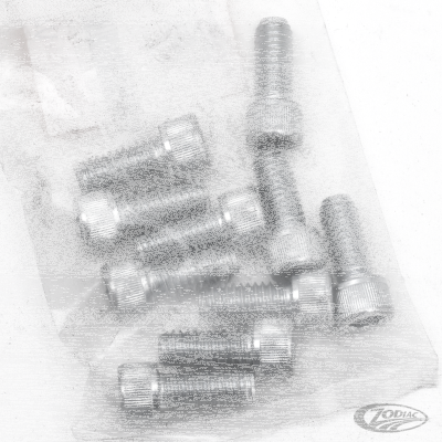 10pck allen bolt 5/16-18x3/4" UNC zinc (DE)