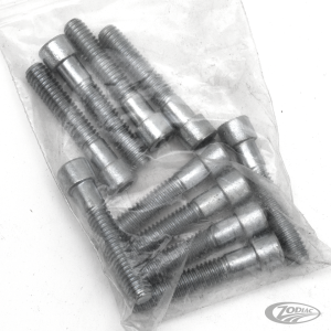 10pck allen bolt 5/16-18x1-5/8" UNC zin (DE)