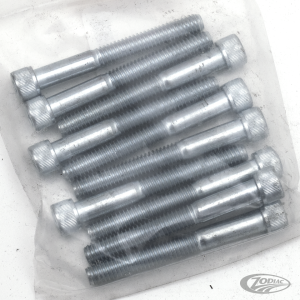10pck allen bolt 5/16-18x2-1/2" UNC zin