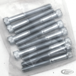 10pck allen bolt 5/16-18x2-1/2" UNC zin