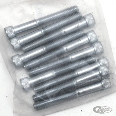 10pck allen bolt 5/16-18x2-1/2" UNC zin (DE)