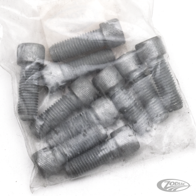 10pck allen bolt 5/16-24x7/8" UNF zinc (DE)