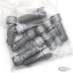 10pck allen bolt 5/16-24x7/8" UNF zinc