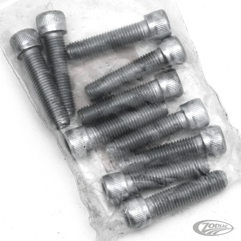 10pck allen bolt 5/16-24x1-1/4" UNF zin (DE)