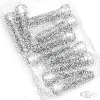10pck allen bolt 5/16-24x1-1/4" UNF zin (DE)