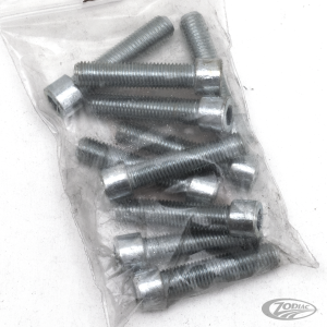 10pck allen bolt 5/16-24x1-3/8" UNF zin