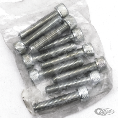 GZP 10pck allen bolt 5/16-24x1-1/2" zinc (DE)