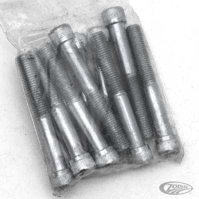 10pck allen bolt 5/16-24x2-1/4" UNF zin (DE)