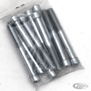 10pck allen bolt 5/16-24x2-3/4" UNF zinc (DE)