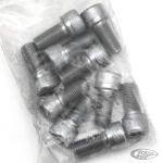 10pck allen bolt 3/8-24x3/4" UNF zinc