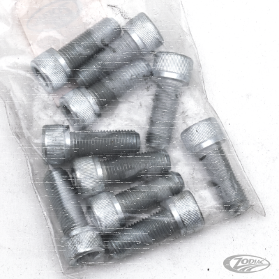 10pck allen bolt 3/8-24x1" UNF zinc (DE)