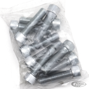 GZP 10pck allen bolt 3/8-24x1-1/2" zinc (DE)