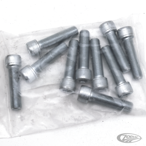 5pck allen bolt 1/2-20x2" UNF zinc (DE)