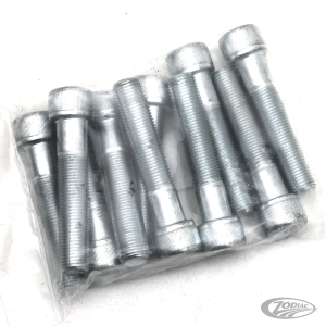 5pck allen bolt 1/2-20x2-1/2" UNF zinc (DE)