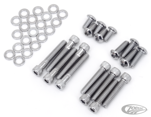 Colony Primary cover screw kit FLH99-06 (DE)