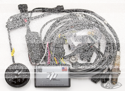 TFI AFR+ Gen4 F*ST06+FLH/T06 black gauge (DE)