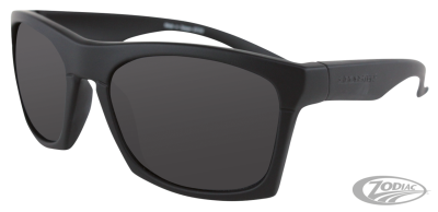 Capone Sunglass Matte Black Frame (DE)