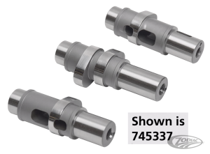 Andrews Indian Chief TS570 cam set