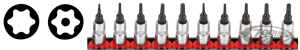 1/4" Socketbitset Torx 10PC on rail