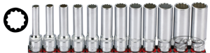 1/2" Socketset 12-point long 12Pc on rai