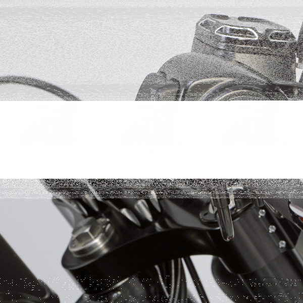 4" slotted Black risers (DE)