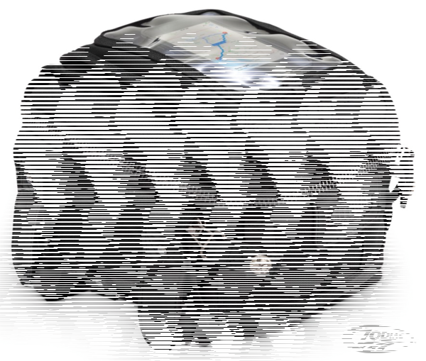 Burly Voyager Tank/Tail Bag Black (DE)