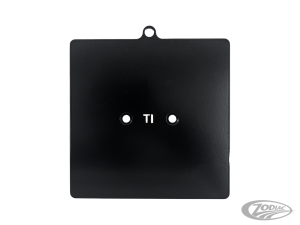 Blk License plate Italy (DE)