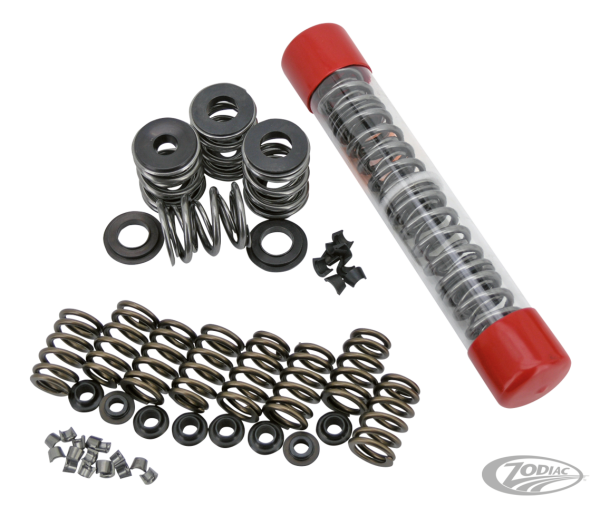 Valve Spring Kit 7mm .650" lift (DE)
