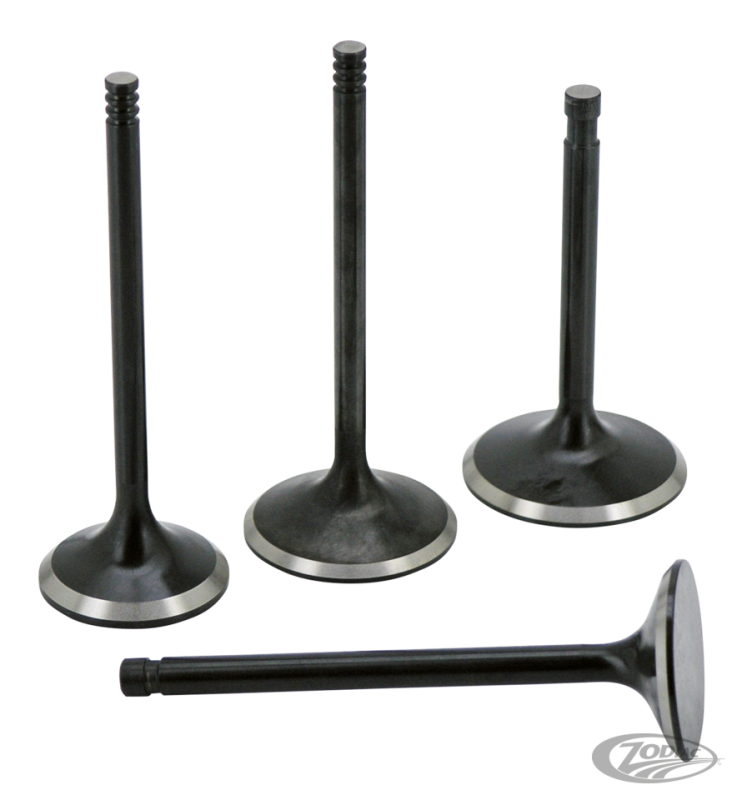 Valve EX XL883 5/16" stem 1.355"x4.635" (DE)