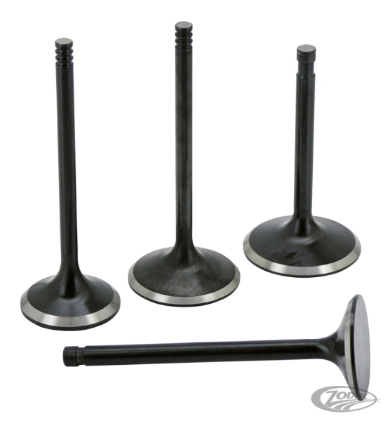 Valve EX XL883 5/16" stem 1.355"x4.635" (DE)