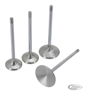 Valve EX Blank 35.4mm x 5" (DE)