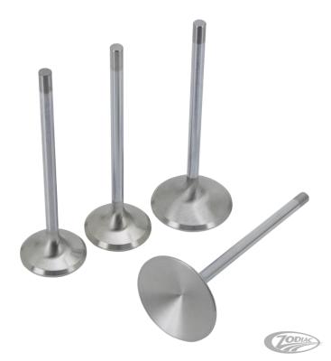 Valve IN Blank 41mm x 5" (DE)