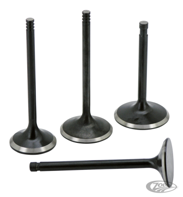 Valve EX Evo 84-99 1.615" x 4.525" (DE)