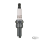 Set of 4 Champion Sparkplugs RG6HCC (DE)