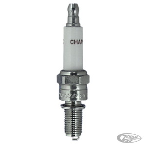 Champion Sparkplug RG4HCX each (DE)