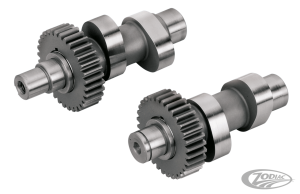 Cams w/ gear kit 510G TC99-06 (DE)