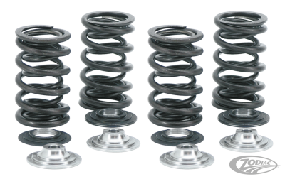 Racing valve springkit .655"lift titaniu (DE)
