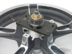 WHEEL BEARING SUPPORT PLATE (DE)