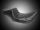 TailWhip Chestnut DD FLH/T08-Up (DE)