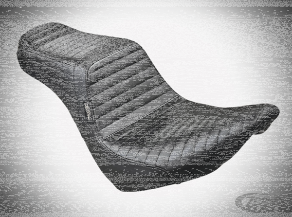 TailWhip Black PL FXLR18-Up (DE)